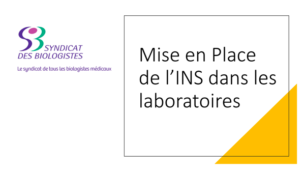 Mise en Place de lINS dans les laboratoire NL