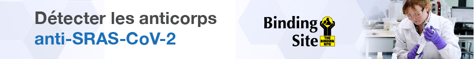 e banner 02
