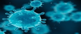 Grippe, bronchiolite, COVID-19 > Premier bilan de la saison des infections respiratoires aiguës : il est urgent de clarifier la stratégie de dépistage  et de diagnostic