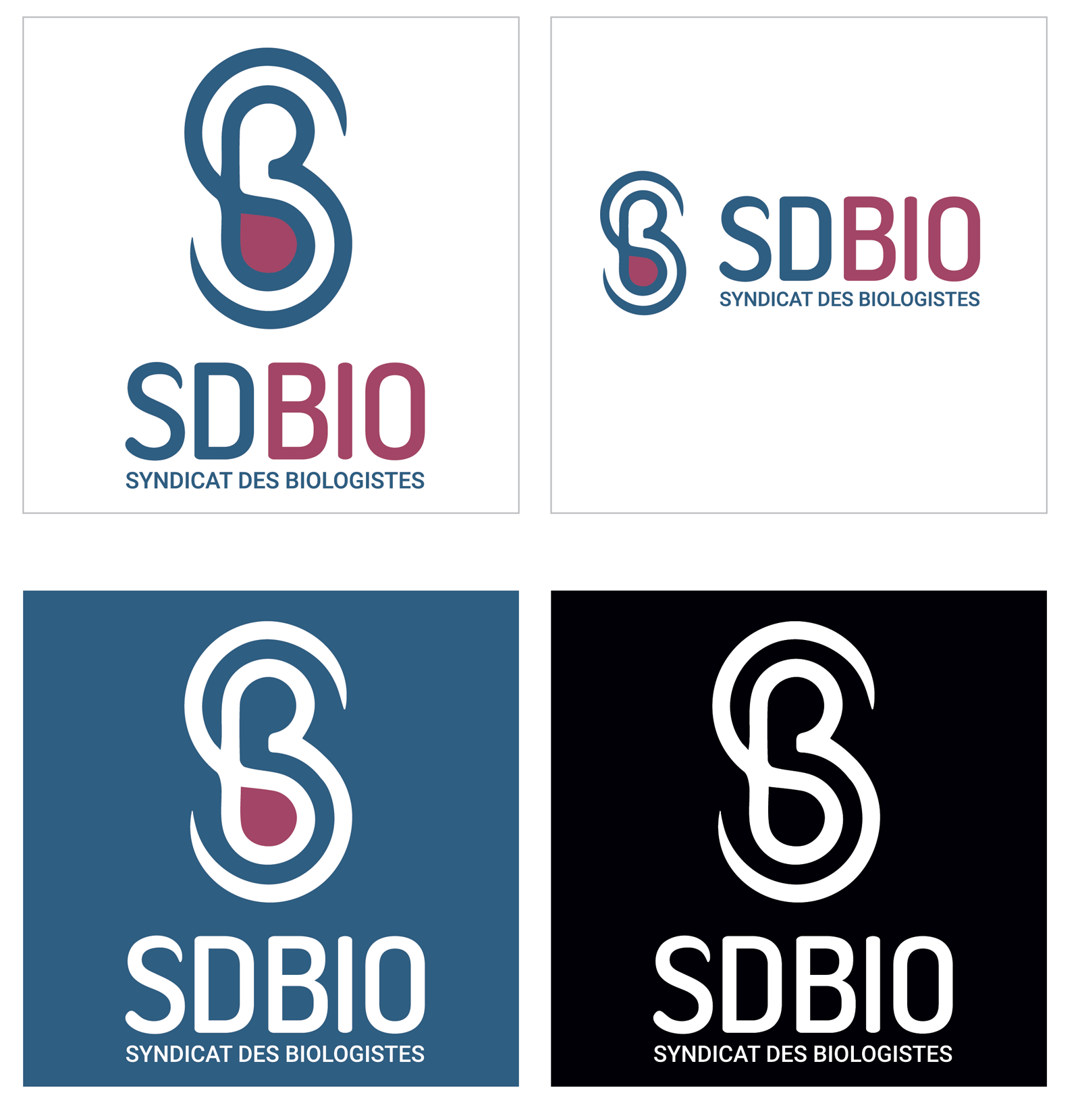 sdb logo declinaison
