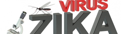 Le virus Zika présent dans la salive et l'urine