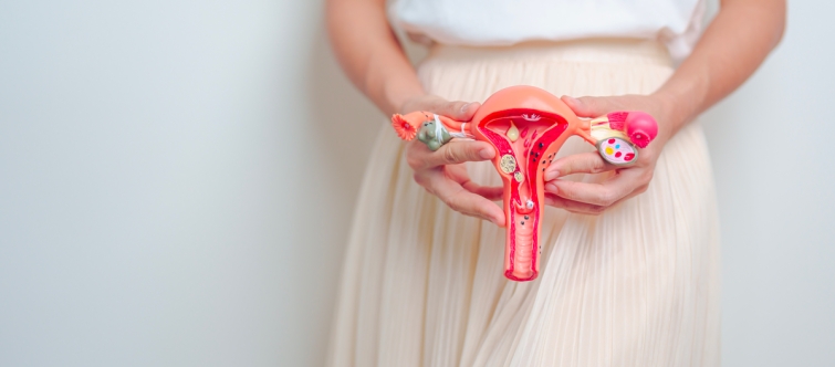 Dépistage organisé du col de l’utérus : le SDBIO propose des améliorations du dispositif pour augmenter le taux de participation des femmes concernées